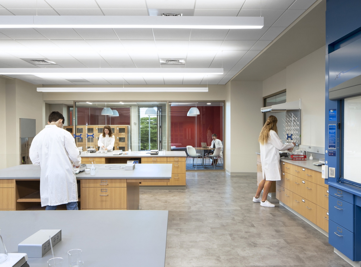 lab