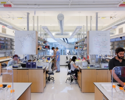 lab