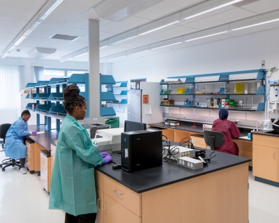 Lab