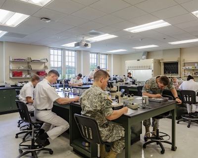 lab